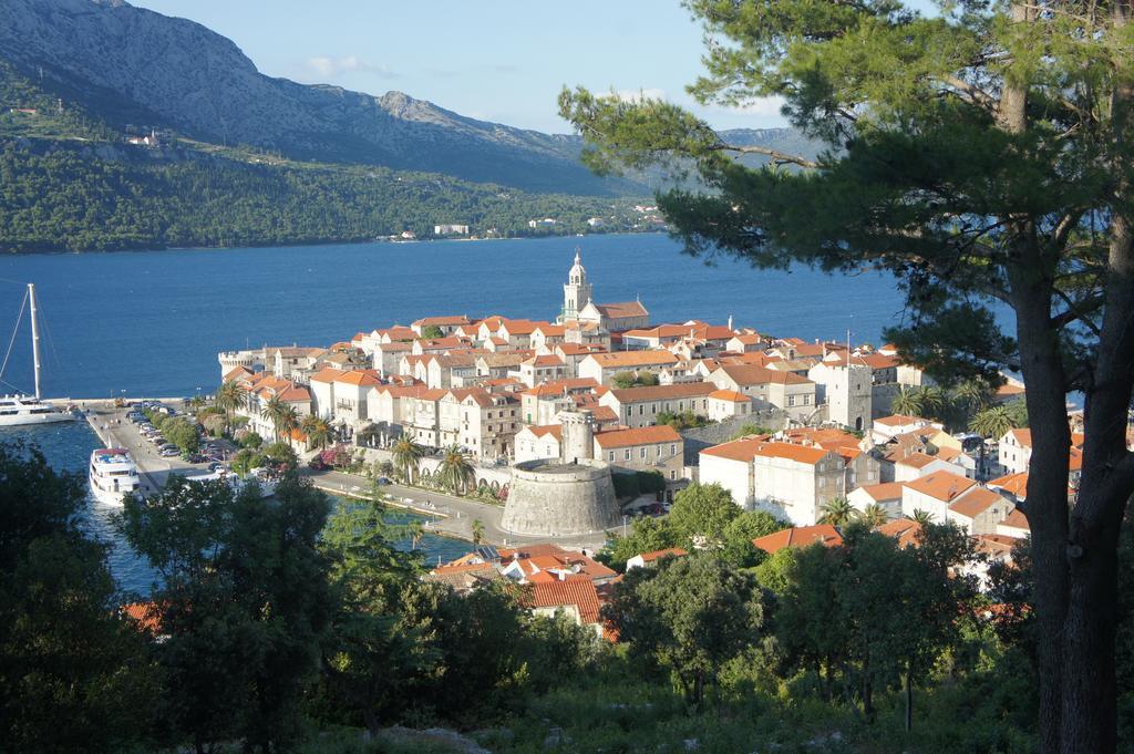 Segedin
