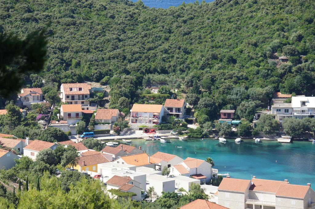 Apartment Segedin