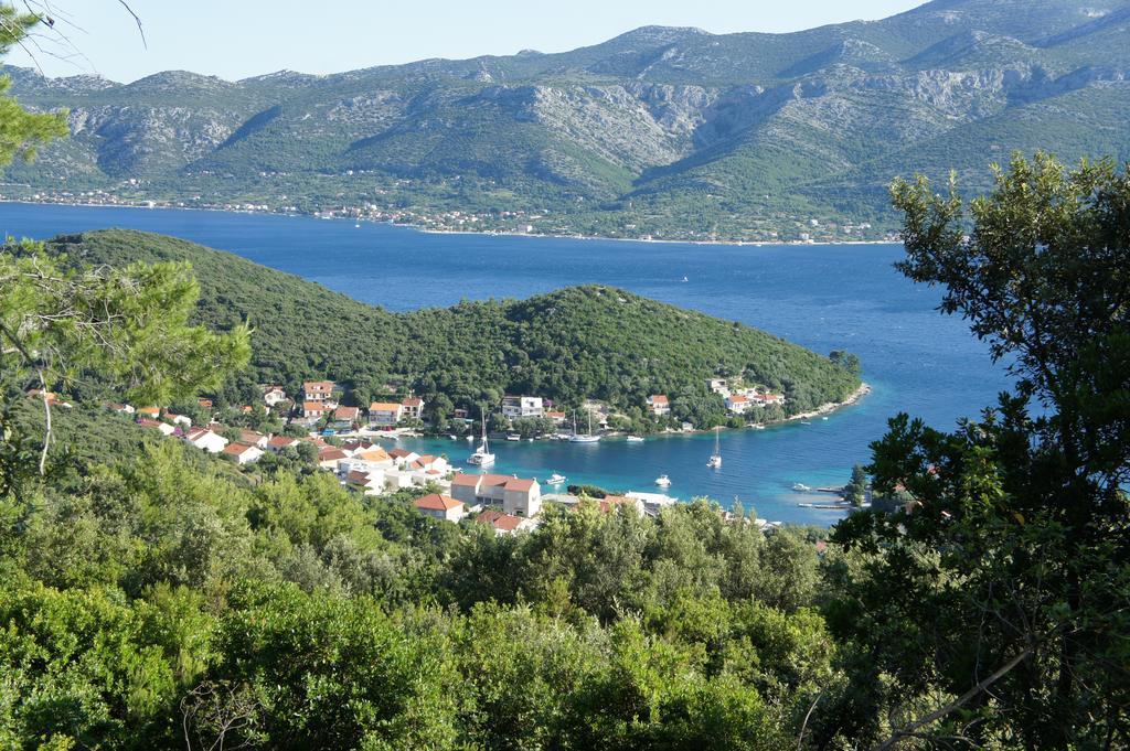 Segedin