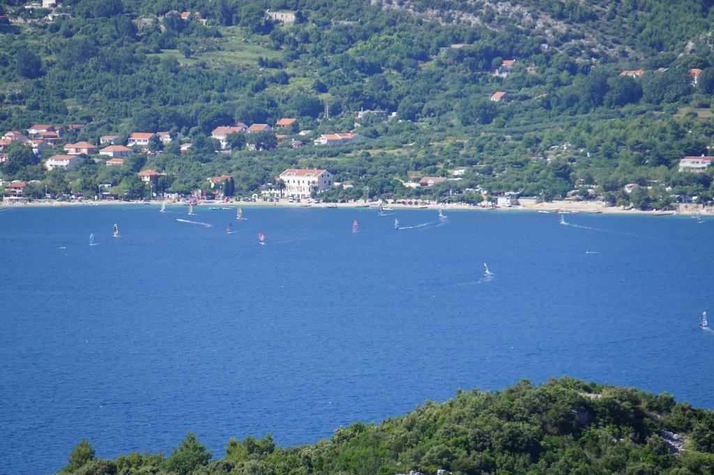 Segedin
